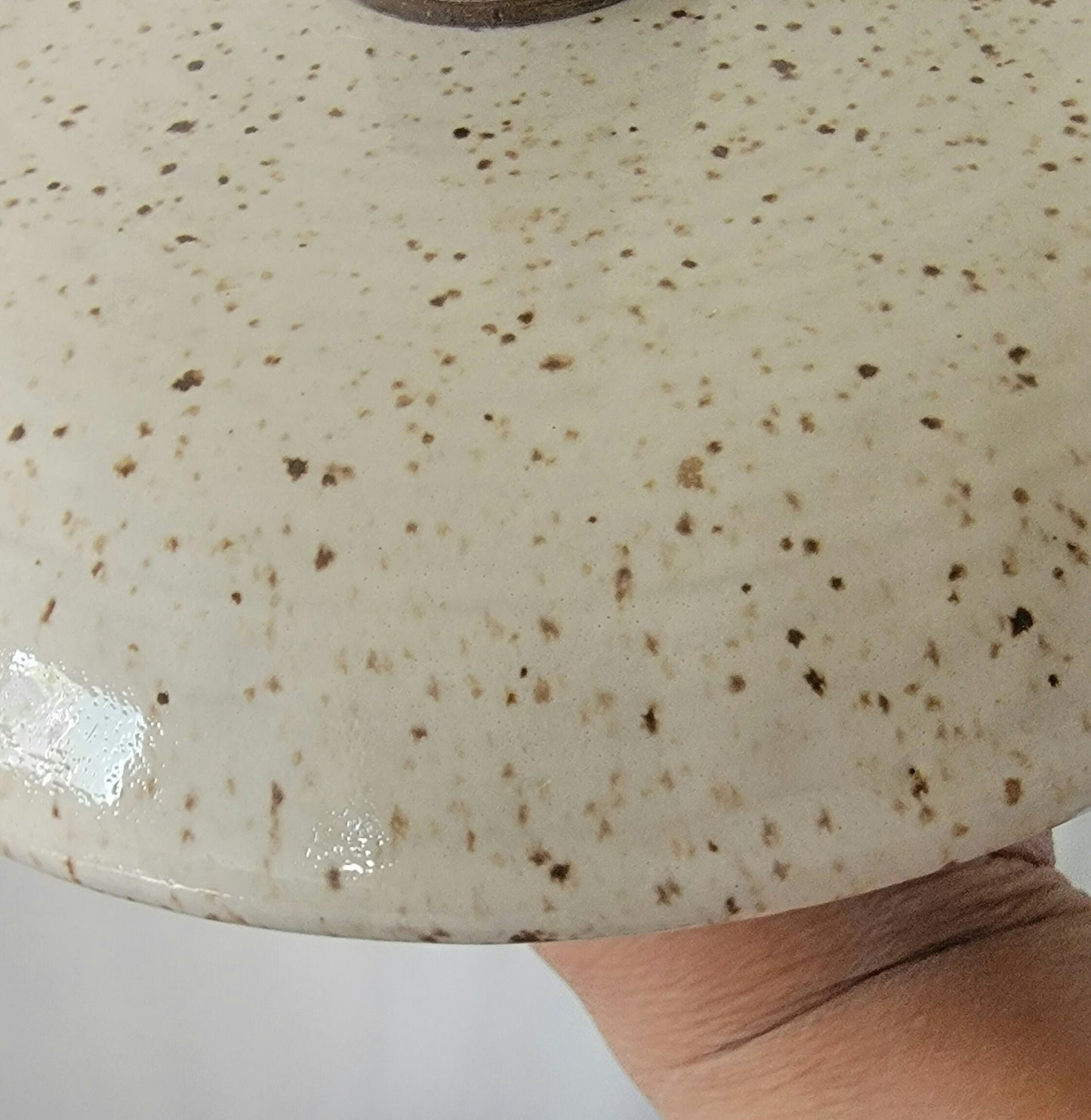 Style#104 Beautiful egg shell cream speckled pendant light